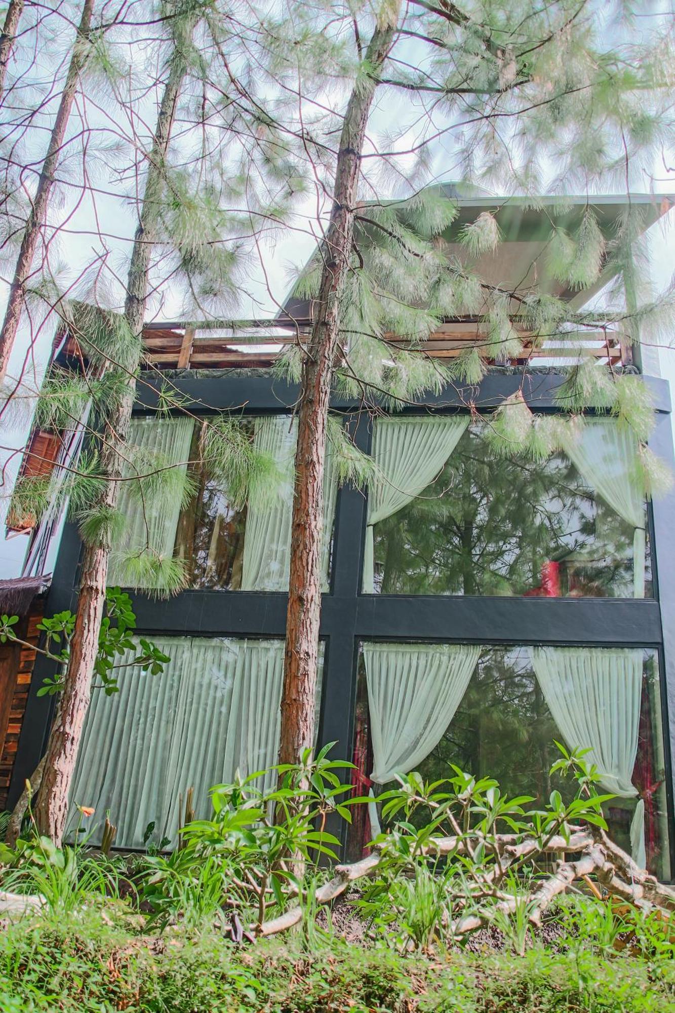 Omah Kayu Bromo Βίλα Ngadisari Εξωτερικό φωτογραφία